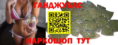 сатива Моздок