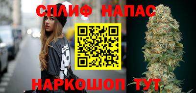 сатива Моздок