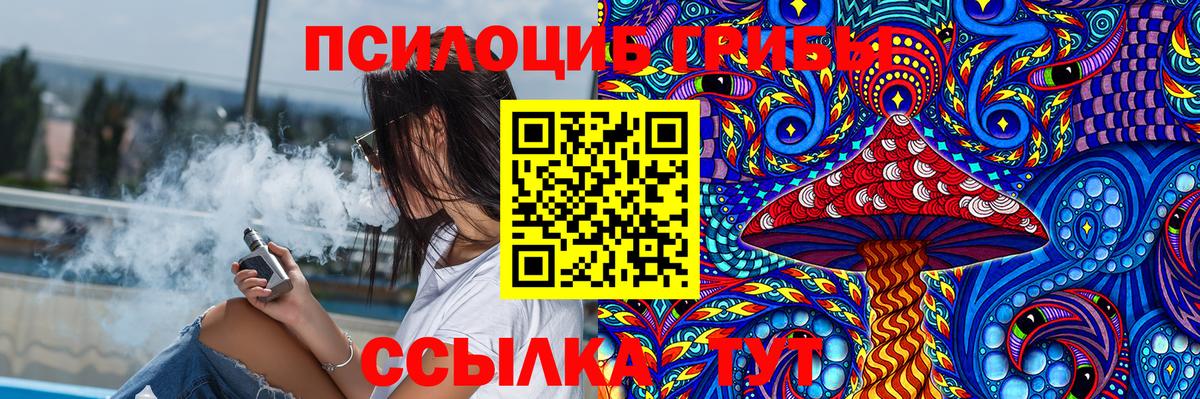 Псилоцибиновые грибы прущие грибы Видное